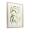 Stupell Industries Soft Snowdrop Stems Framed Print Under Glass, design by June Erica Vess